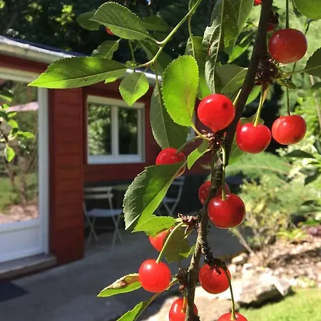 Le Cabanon De 3* Chessy